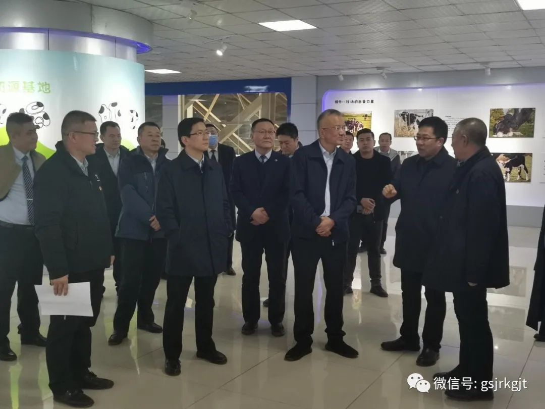 온라인 카지노 사이트