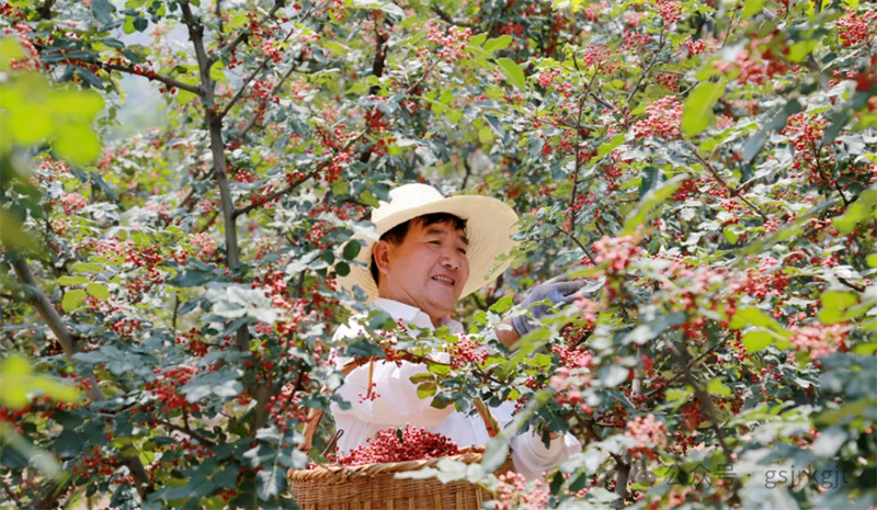 카지노 꽁 머니